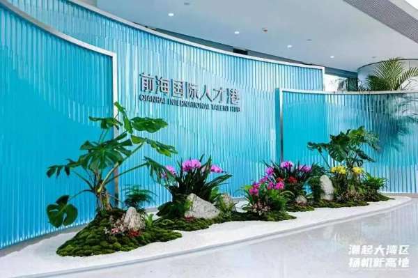 全要素聚集，全链条发展！前海人才、法治建设进入新“航道”