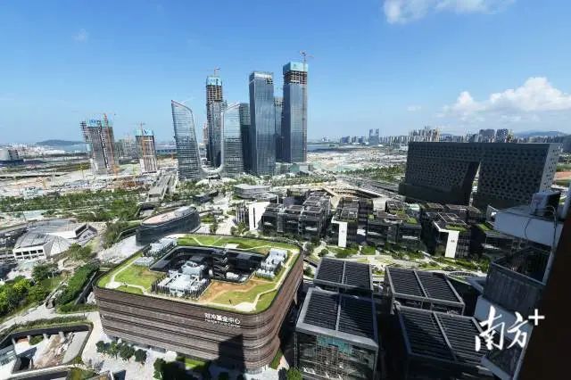 各区开足马力,助力大湾区建设提速