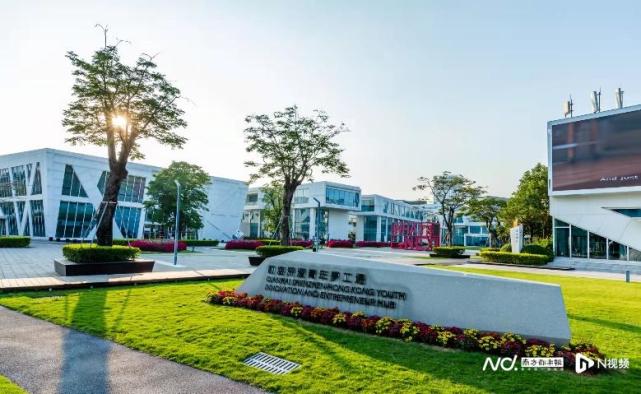 前海搭台助创新创业，粤港澳青年逐梦大湾区