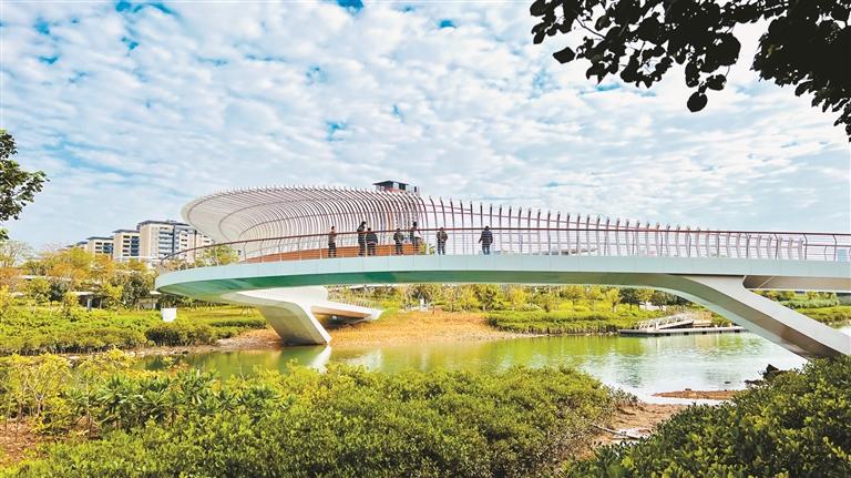 前海3座“网红C型桥”开通 快来打卡