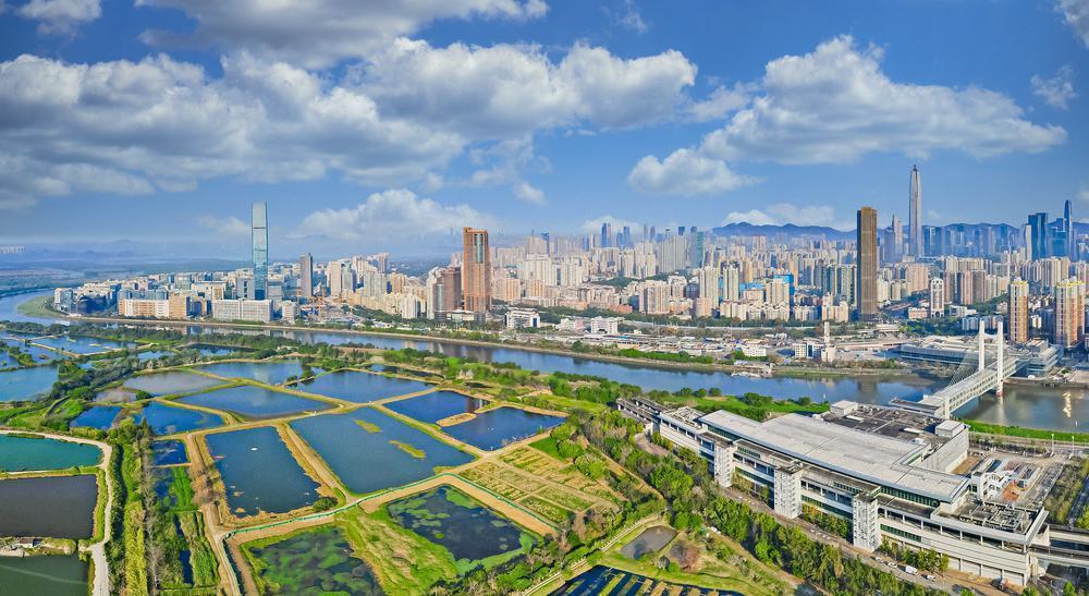 深圳：努力续写更多“春天的故事”，实现新跨越